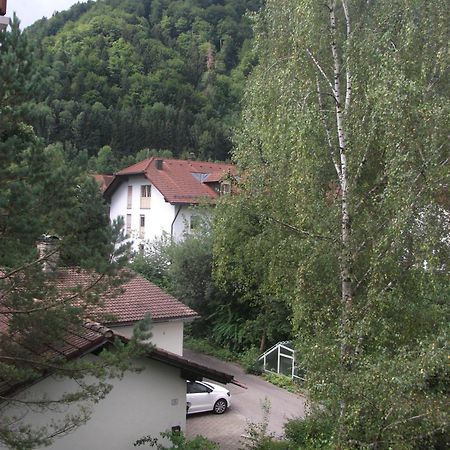 Appartemant Steineberg Immenstadt im Allgäu Εξωτερικό φωτογραφία