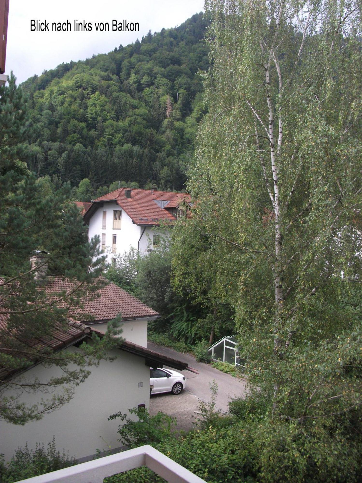 Appartemant Steineberg Διαμέρισμα Immenstadt im Allgäu Εξωτερικό φωτογραφία